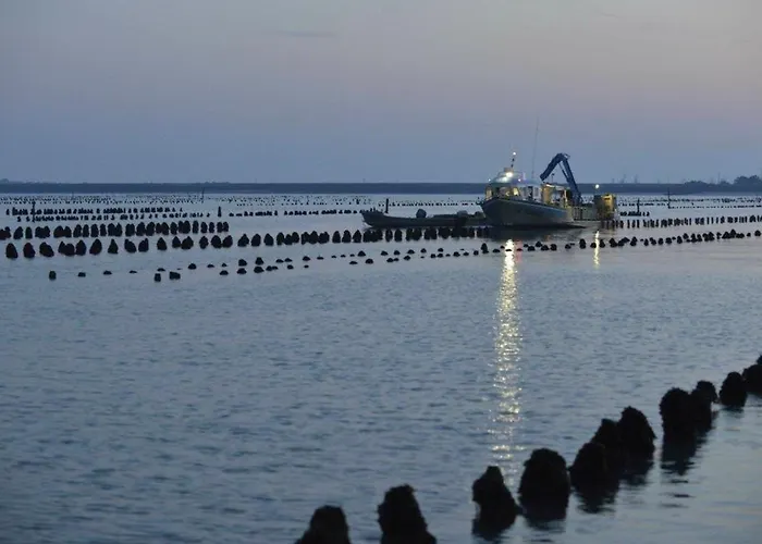 Hébergement de vacances Maison Proche - 6 Personnes - Fr-1-194-440